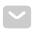 input icon